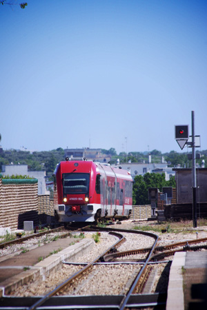 d0039584_132449.jpg