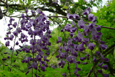 b0226089_2050823.jpg