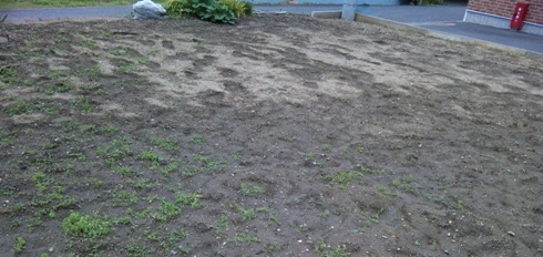 e0121192_1393512.jpg