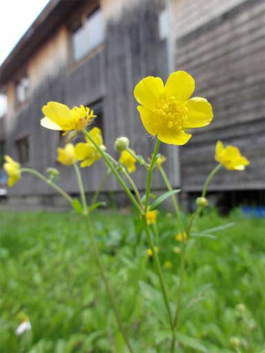 a0061599_7462100.jpg