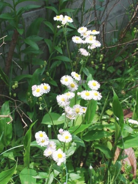 e0025300_22204772.jpg