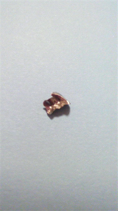 f0215900_2335854.jpg