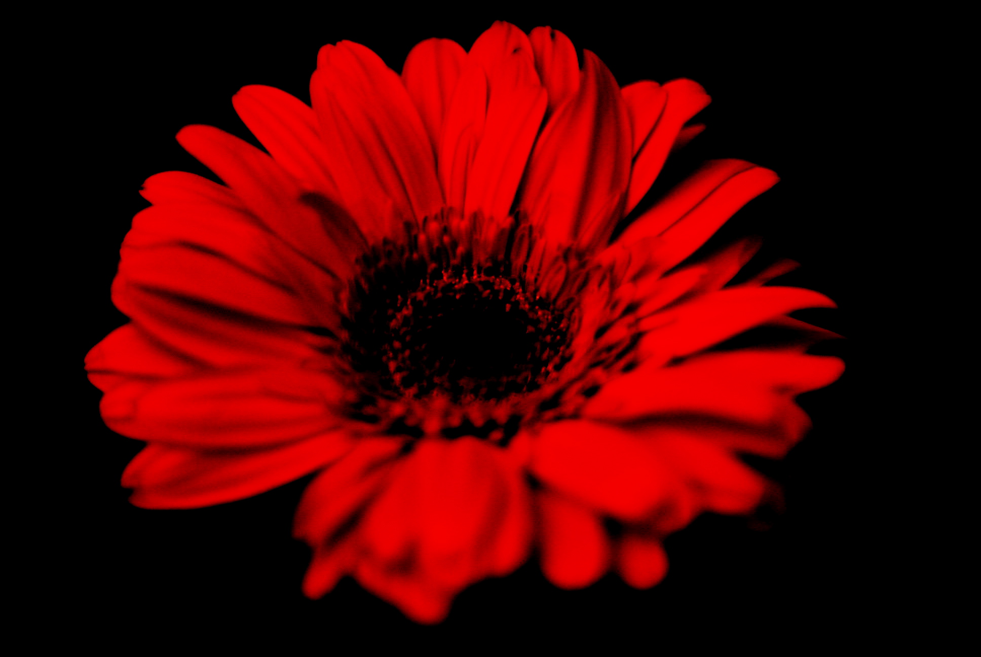 a0157704_028485.jpg