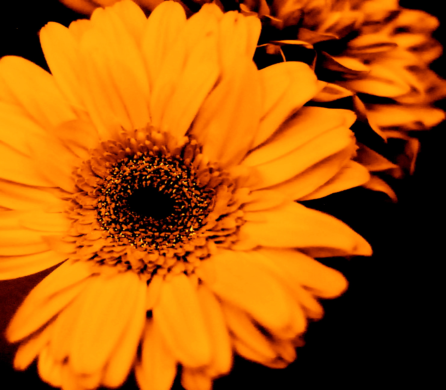 a0157704_0425578.jpg