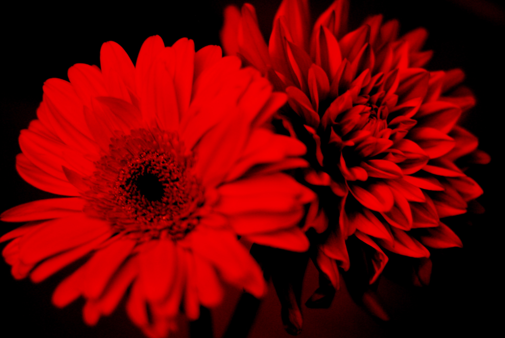 a0157704_065641.jpg