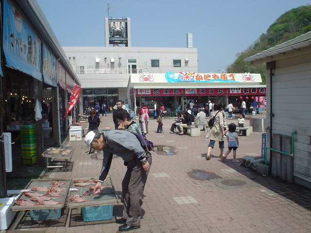 a0116205_18512215.jpg