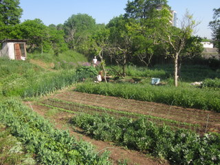 f0144707_18554579.jpg