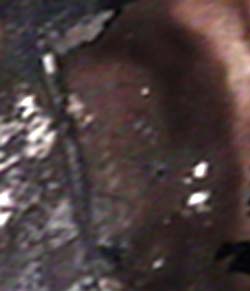 e0103408_0532557.jpg