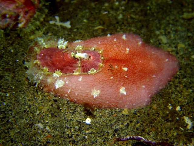 d0175710_22345199.jpg