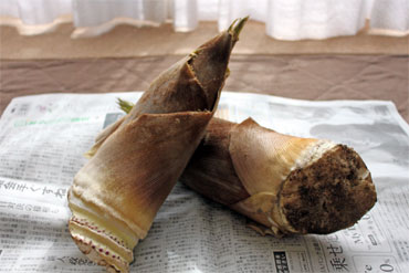c0143711_228120.jpg