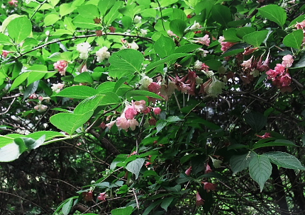 f0218012_2121683.jpg