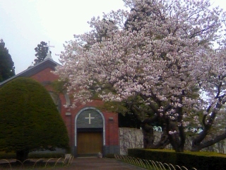 f0126417_19352062.jpg