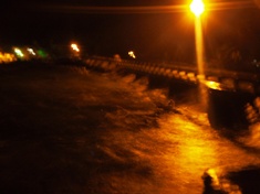 a0043520_039438.jpg