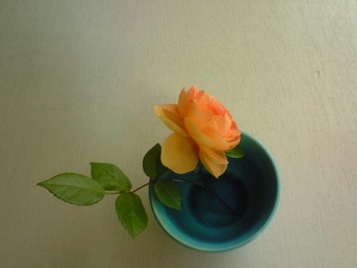 c0097620_21361647.jpg
