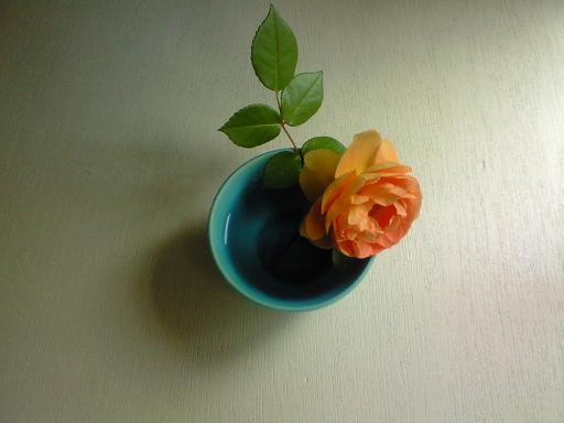 c0097620_21364244.jpg