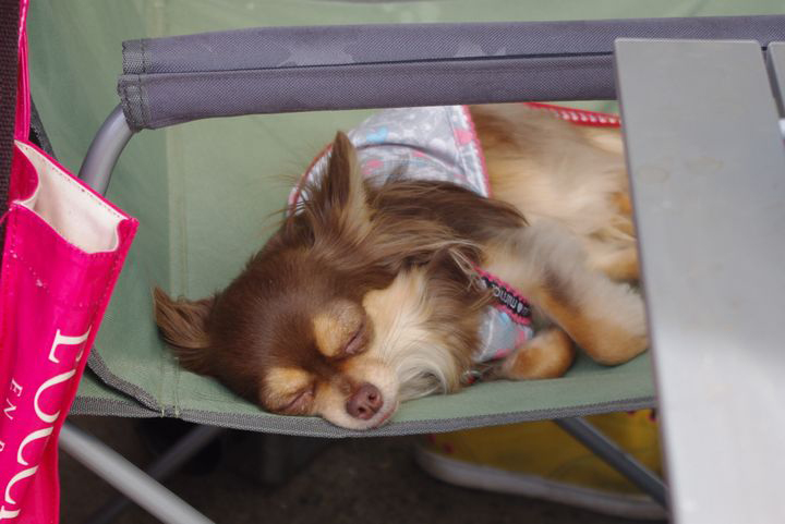 c0224820_15224125.jpg