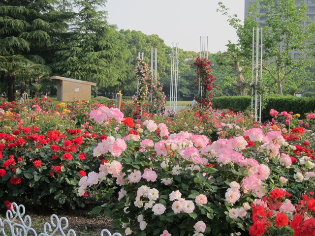 c0225420_1981464.jpg