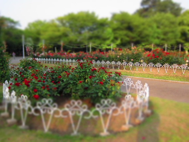 c0225420_1984390.jpg