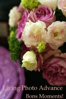 c0147521_1710517.jpg