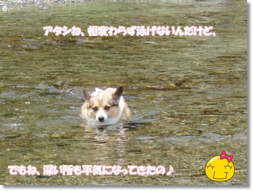 f0182121_12335621.jpg