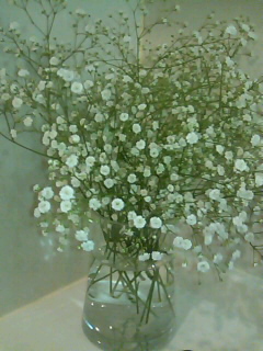 a0056722_19223.jpg