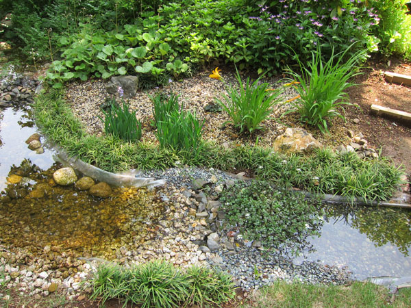 f0147025_854361.jpg