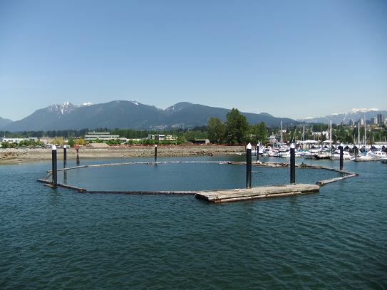 f0111926_4284173.jpg
