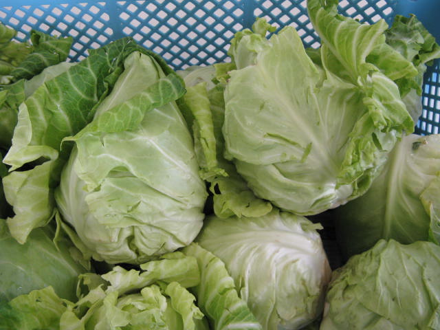 c0009528_7592683.jpg