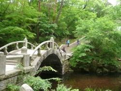 b0132630_186421.jpg