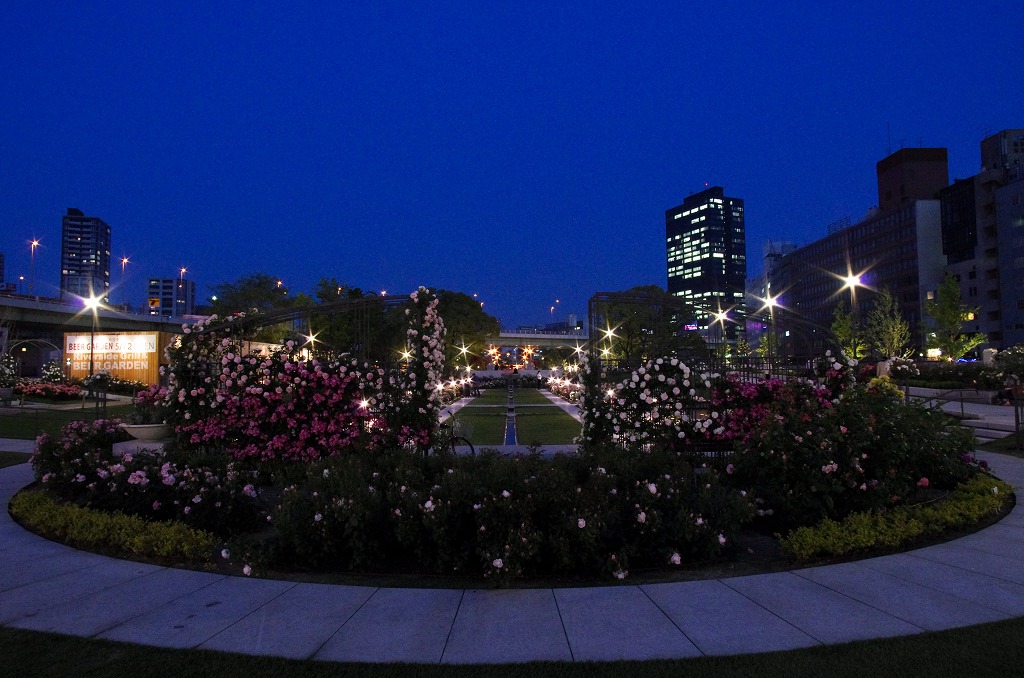 c0106831_2331076.jpg
