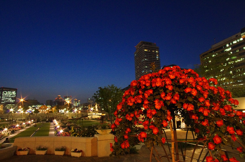 c0106831_2383254.jpg