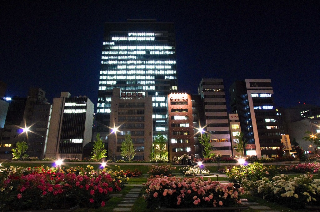 c0106831_2394350.jpg