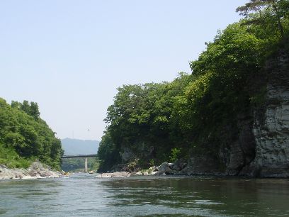 d0093936_1555520.jpg