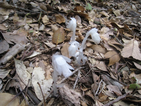 c0077338_10412538.jpg