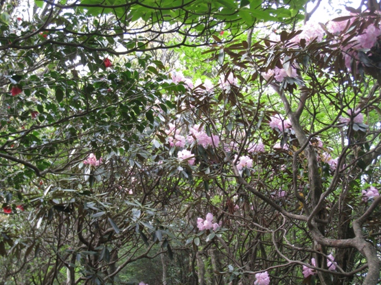 c0077338_10415535.jpg