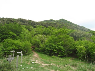 c0077338_1041886.jpg