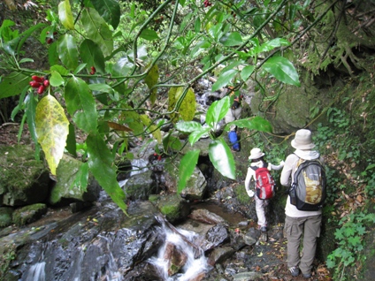 c0077338_11191882.jpg