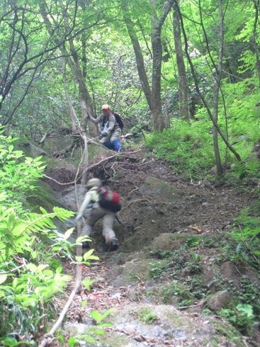 c0077338_11195480.jpg