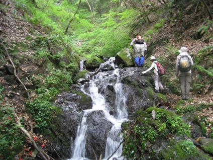 c0077338_11202566.jpg