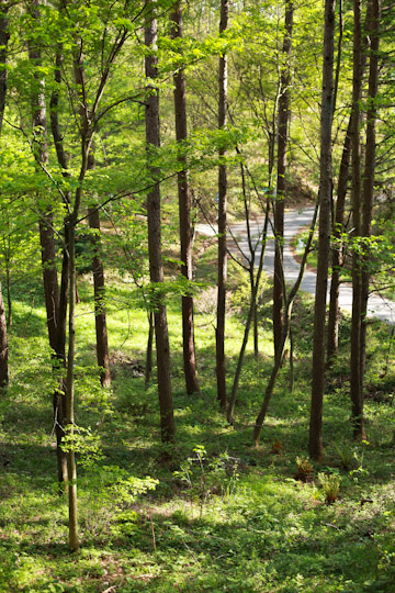 d0008146_23543150.jpg