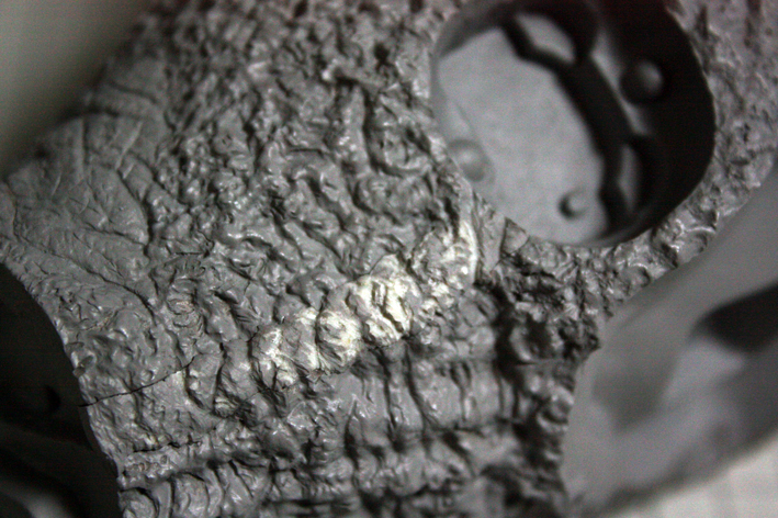 e0096346_713196.jpg