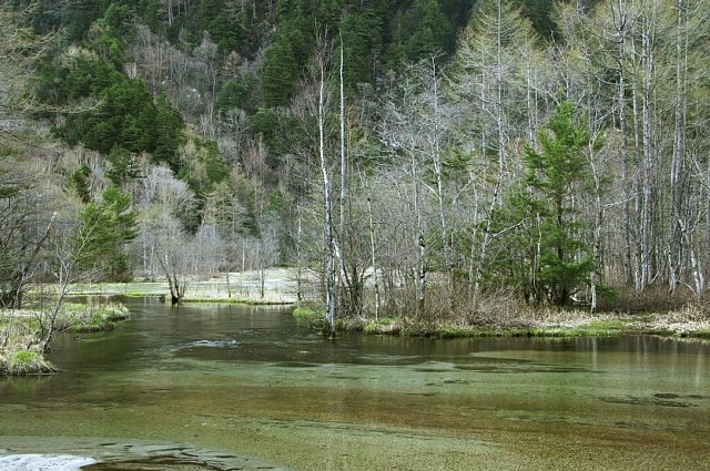 b0122448_20253451.jpg