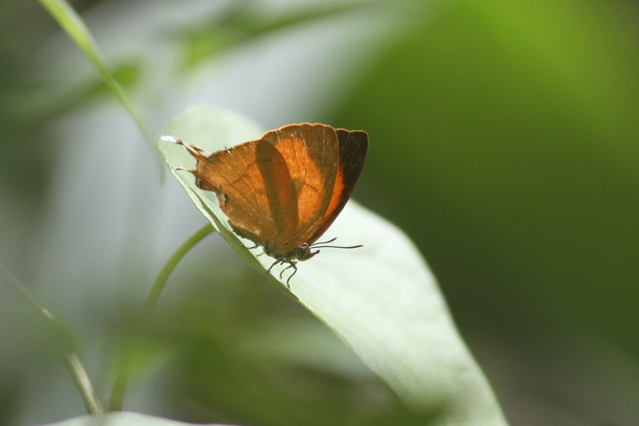 a0094850_1245239.jpg