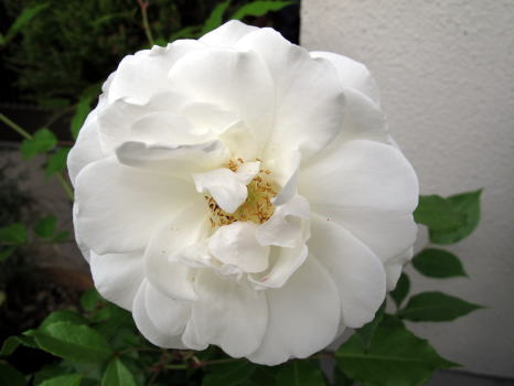 c0147952_2251194.jpg
