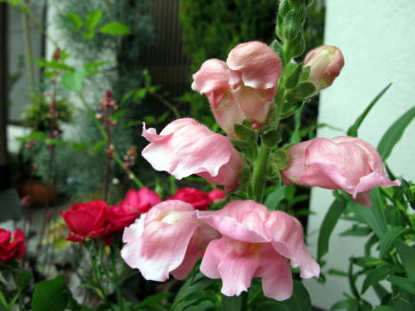 c0147952_22554073.jpg