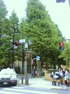 e0099753_11104451.jpg