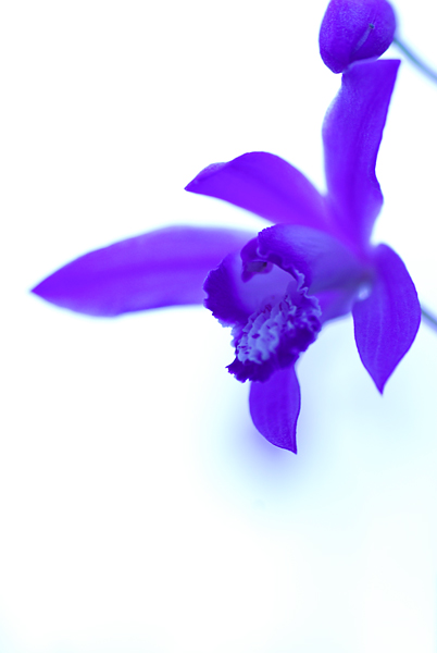 f0176353_2054857.jpg