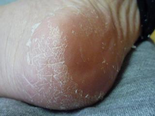 f0221360_9392582.jpg