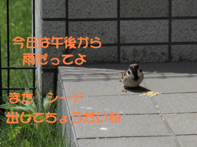 b0158061_20134586.jpg