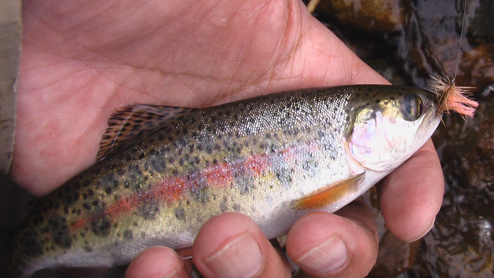 b0208961_22271777.jpg
